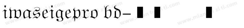 iwaseigepro bd字体转换
